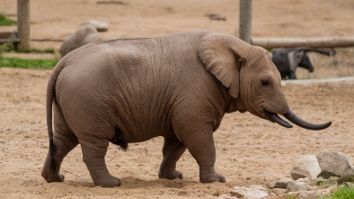 great plains zoo